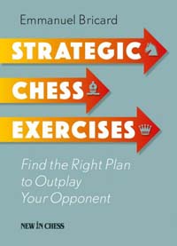 Strategic Chess Exercises. 2100000040568