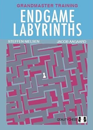 Endgame Labyrinths (hardback). 9781784831530