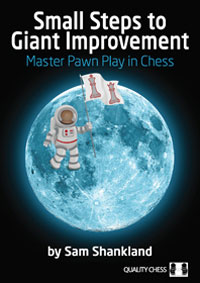 Small Steps to Giant Improvement (paperback). 9781784830502