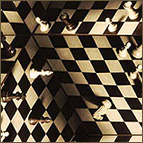 El lenguaje del ajedrez.