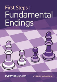 First steps: fundamental endings. 9781781944516
