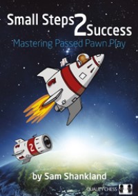 Small Steps to Success (paperback)