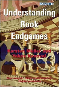 Understanding rook endgames