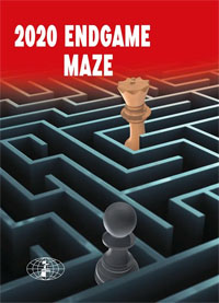 2020 Endgame Maze. 9788672971187