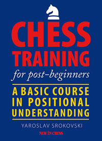 Chess training for post-beginners