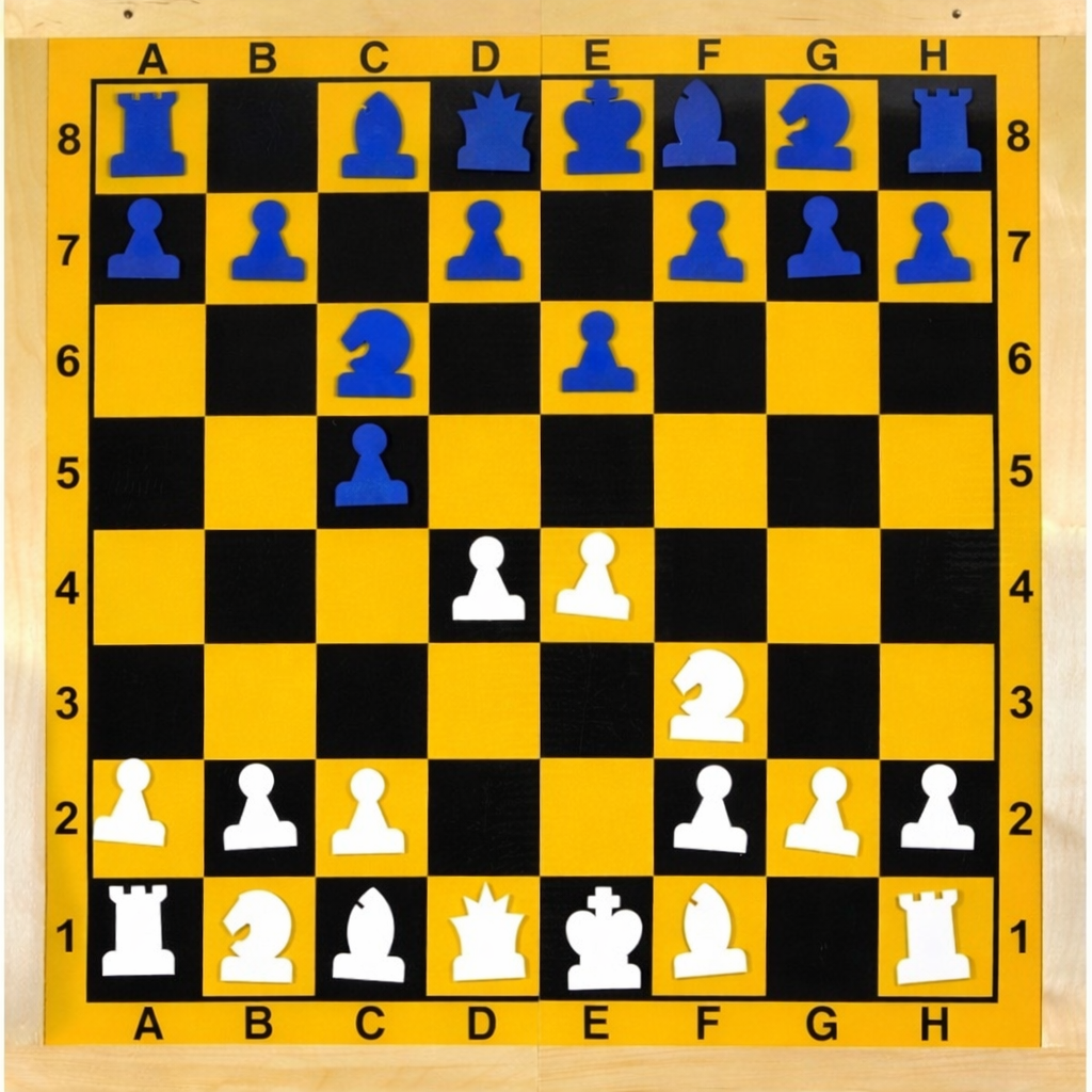 Ref. 01.14.04. Mural plegable con piezas de ajedrez imantadas azules y blancas. 2100000027545