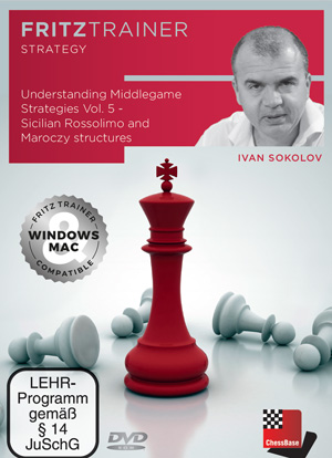 Understanding Middlegame Strategies Vol.5 (Ivan Sokolov)