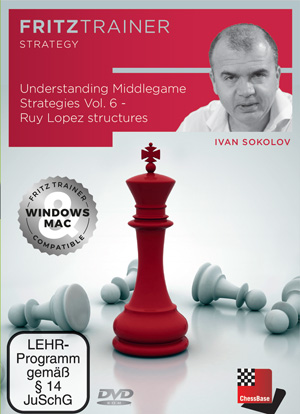 Understanding Middlegame Strategies Vol.6 (Ivan Sokolov)