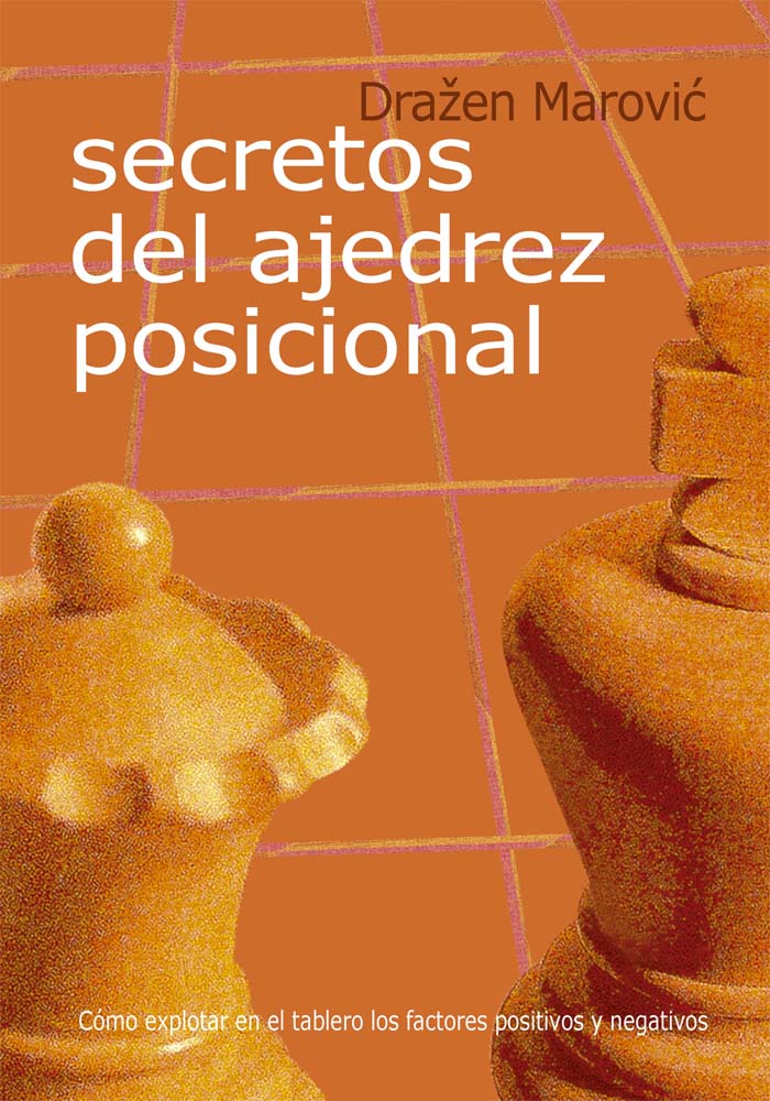 Secretos del ajedrez posicional